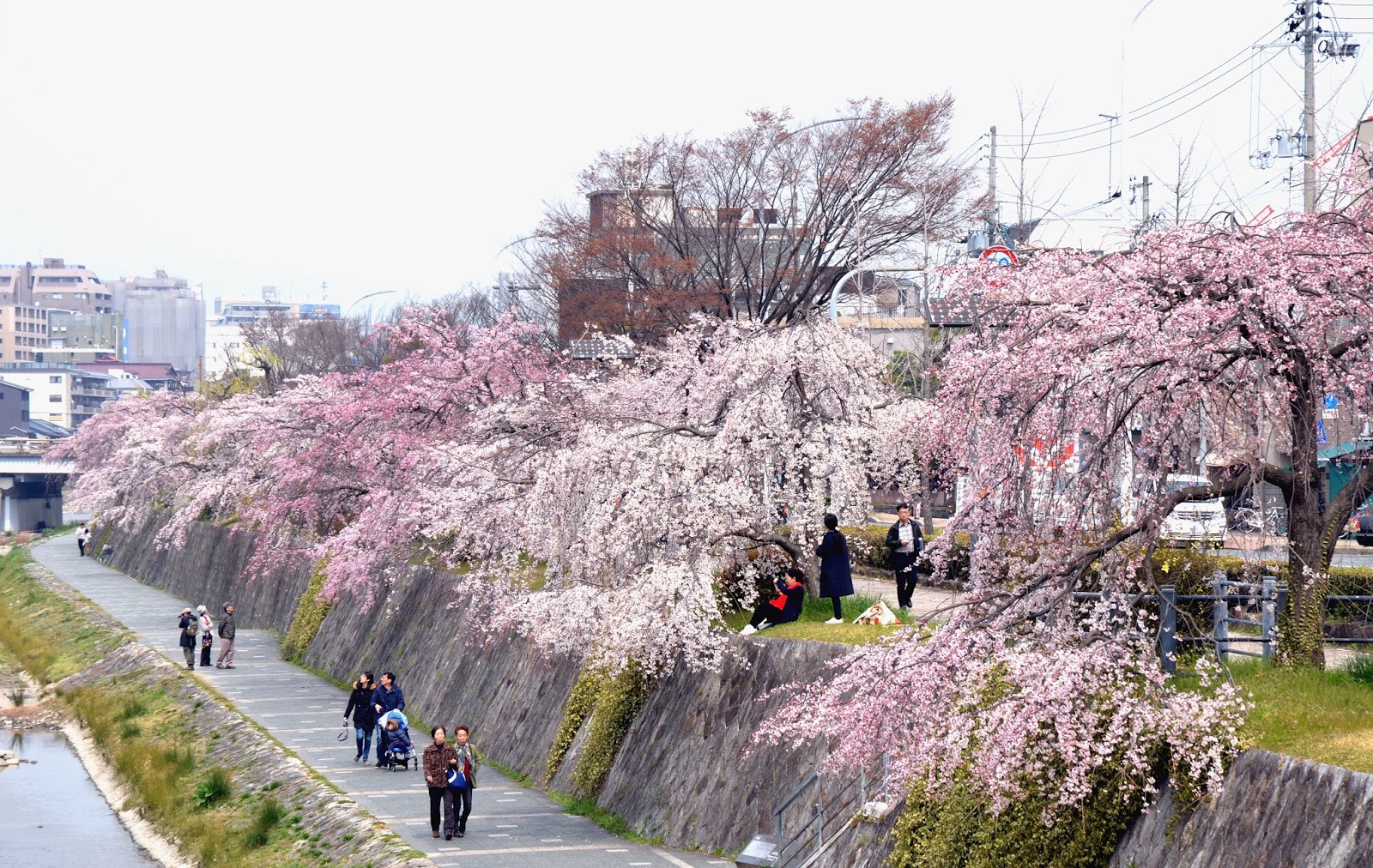 朝日プラザ鴨川6