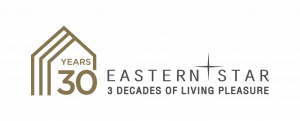 LOGO ESTAR 30 YR-01