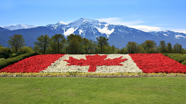 Canada flag done in red and white begonia flower against a backdrop of the Rocky mountains.